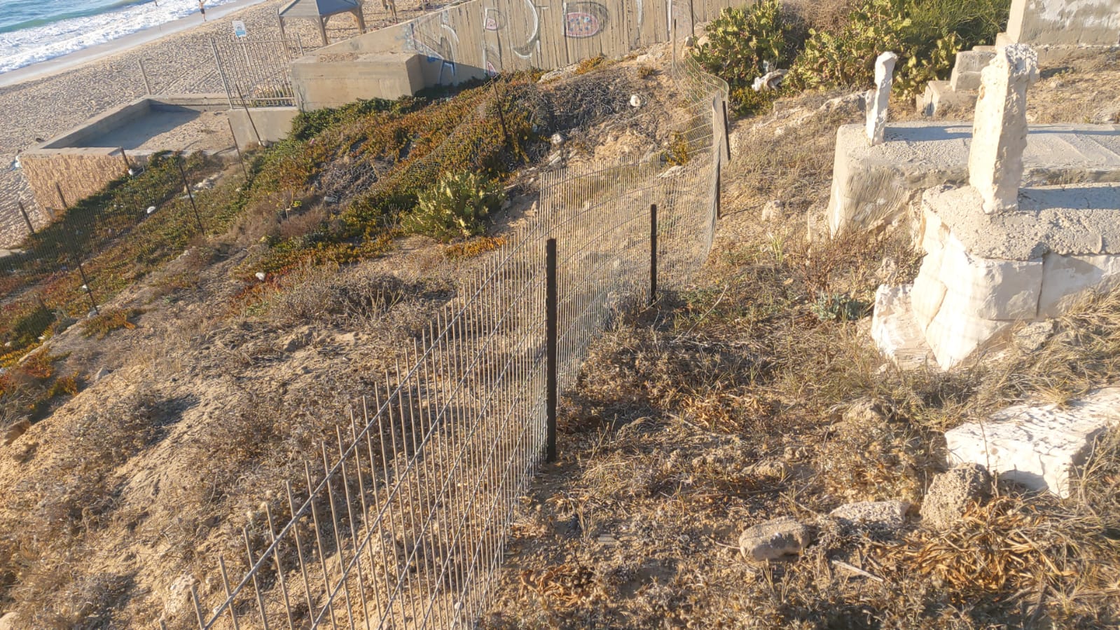 WhatsApp Image 2020-08-17 at 7.30.16 PM (1).jpeg.jpeg